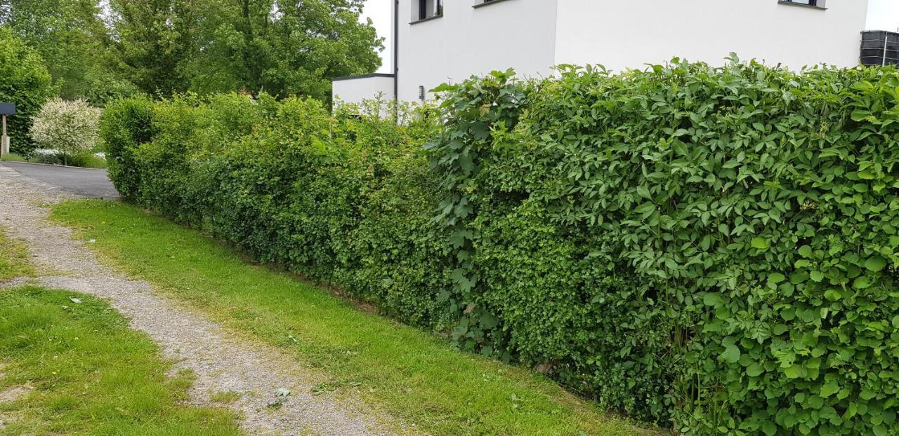 Maison Moderne A La Campagne Bezinghem Extérieur photo